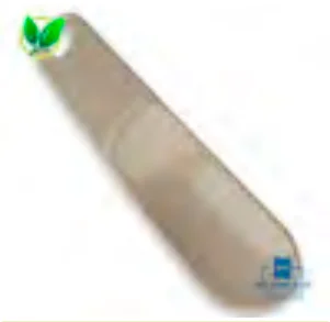 Schuhlöffel