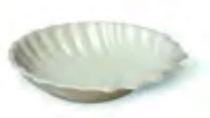 Muschel